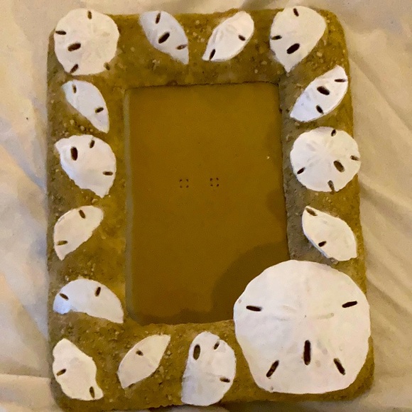 Sand dollar picture frame holds a 4x6 photo - Picture 2 of 4